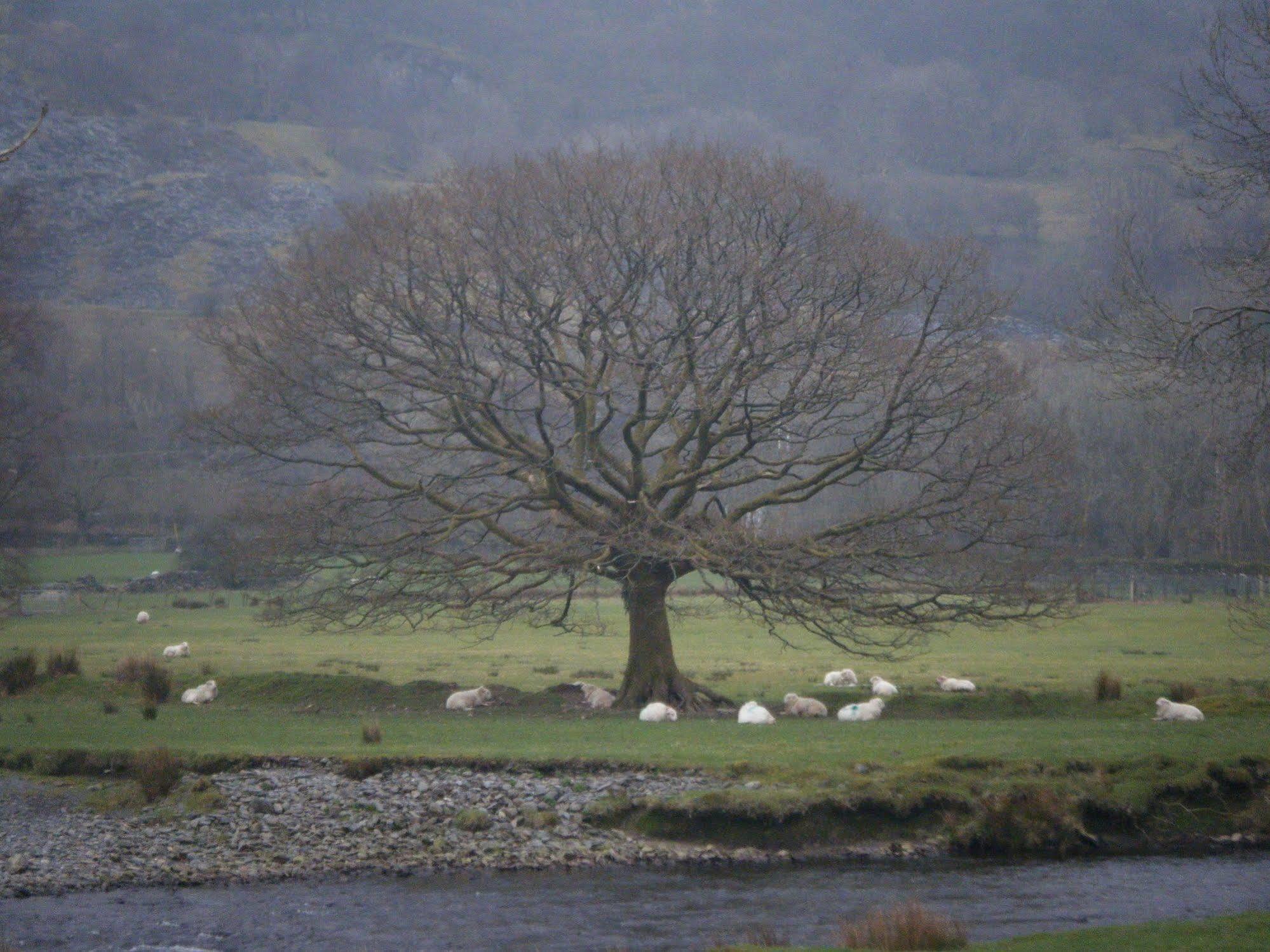 Elen'S Castle Hotel Dolwyddelan Bagian luar foto